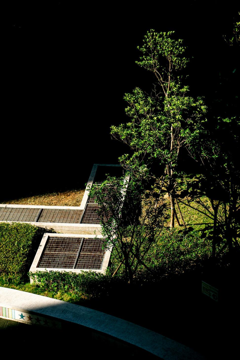 Pacific Green Office
